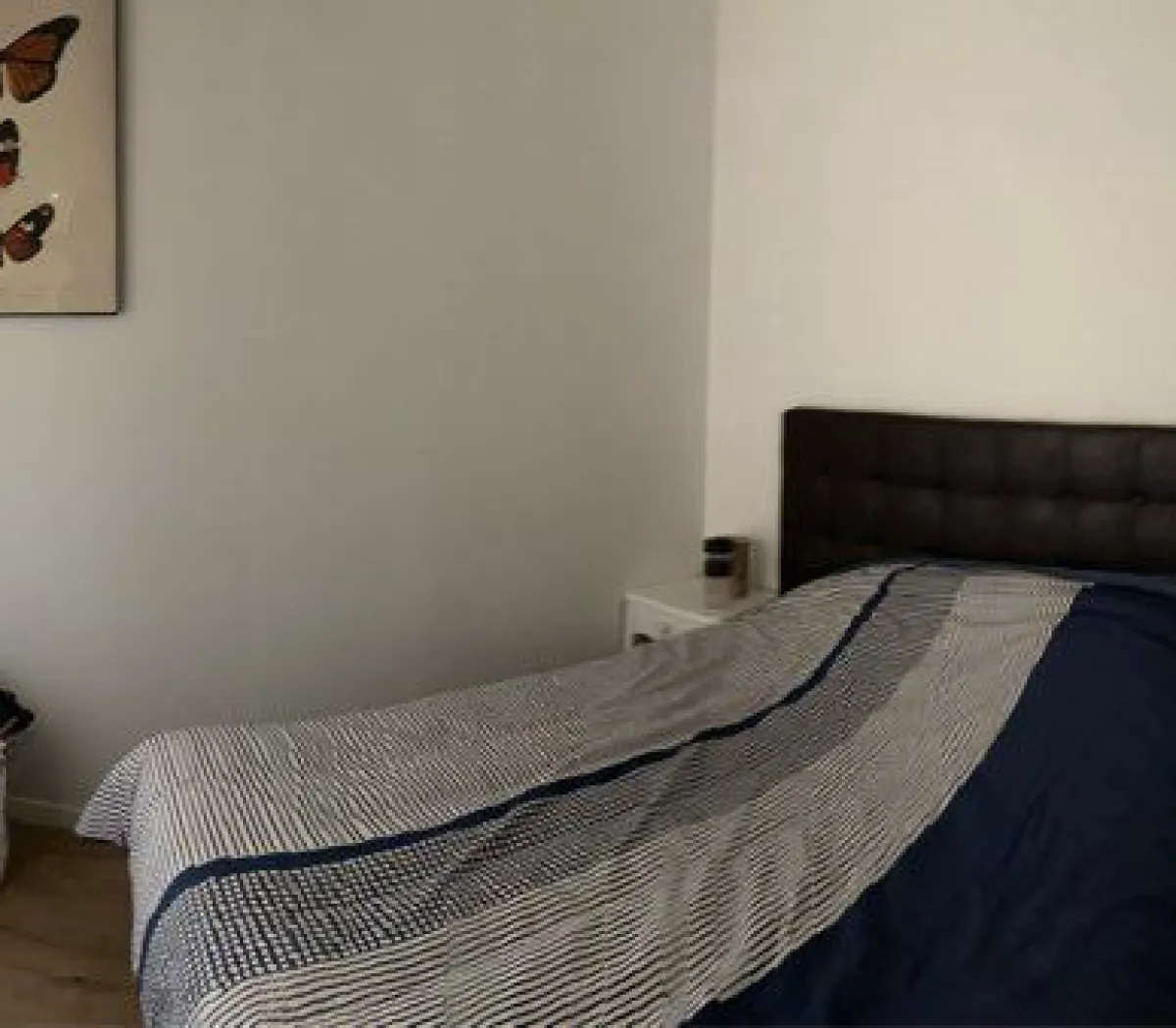 Location Paris Appartement 69831c843544