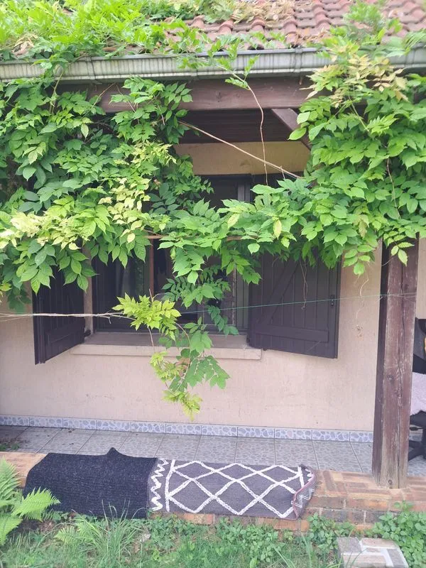 Location Villejuif Appartement 69836f28e769