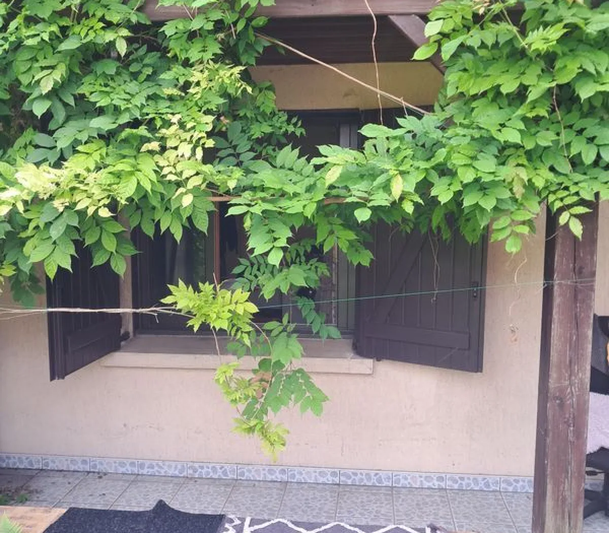 Location Villejuif Appartement 69836f28e769