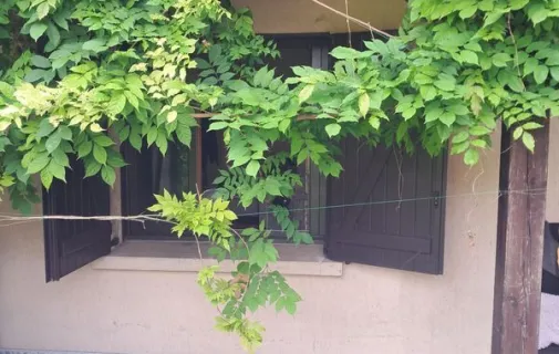 Location Villejuif Appartement 69836f28e769