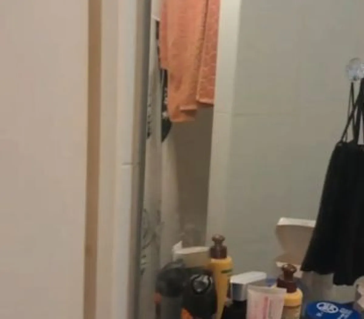 Location Villejuif Appartement 69836f28e769