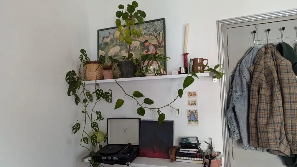 Location Lille Appartement 6983f01ab052