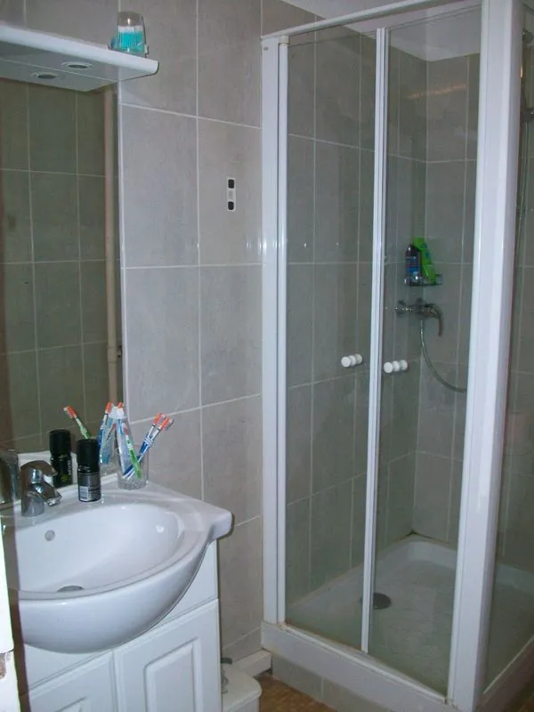 Location Villeurbanne Appartement 69841ca1bcaf