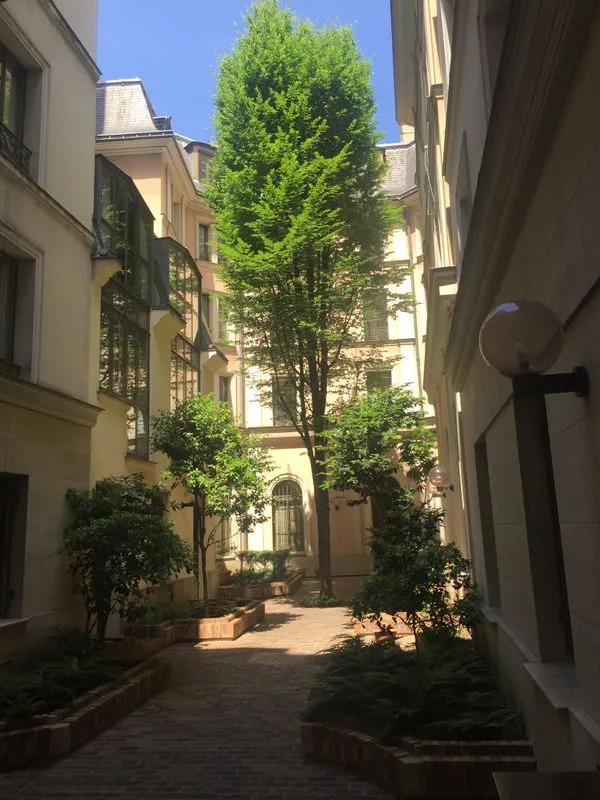 Location Paris Appartement 698506cd3d8a