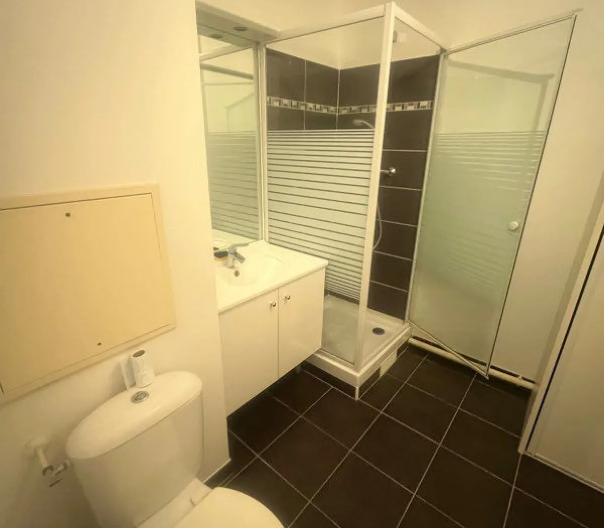 Location Choisy-le-Roi Appartement 6986dc387499