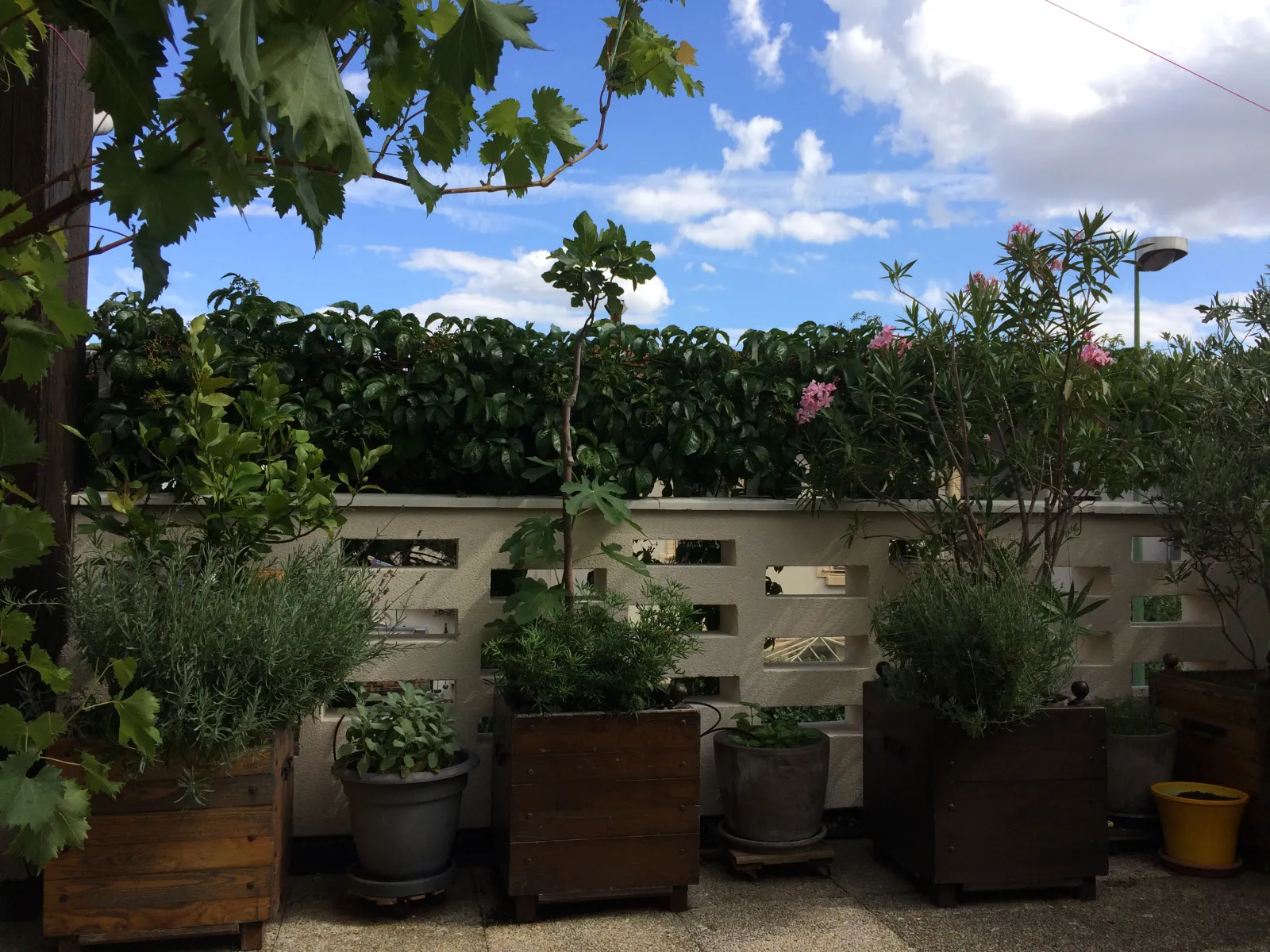 Location Arcueil Chambre 6988ddcfc2cb