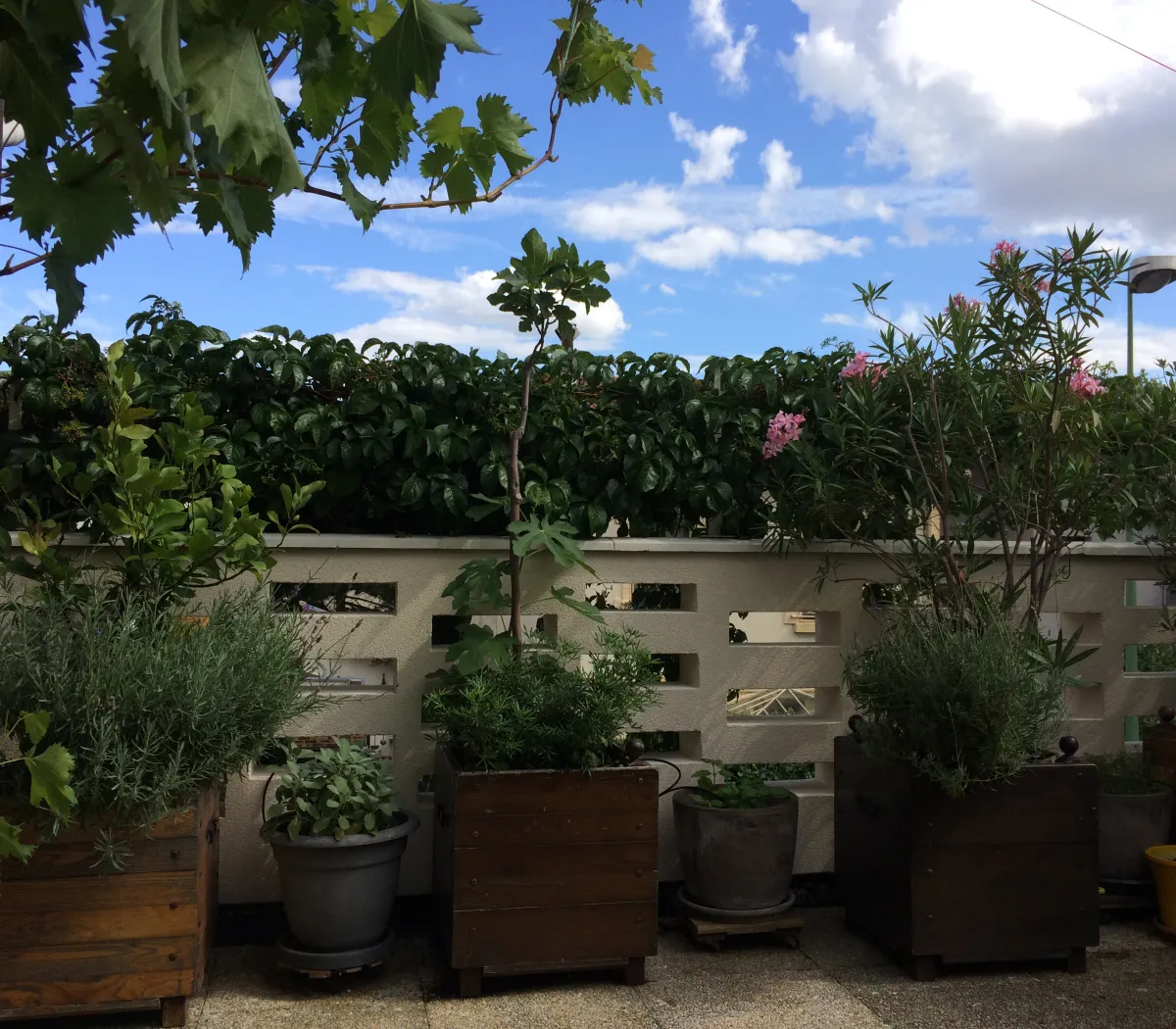 Location Arcueil Chambre 6988ddcfc2cb