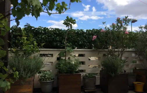 Location Arcueil Chambre 6988ddcfc2cb