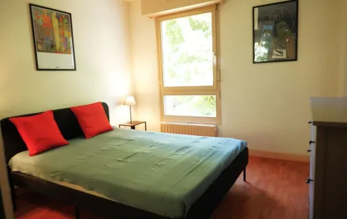 Location Lyon Appartement 69890ace40db