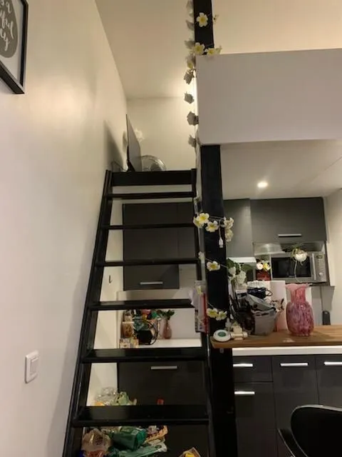 Location Paris Appartement 698918929517