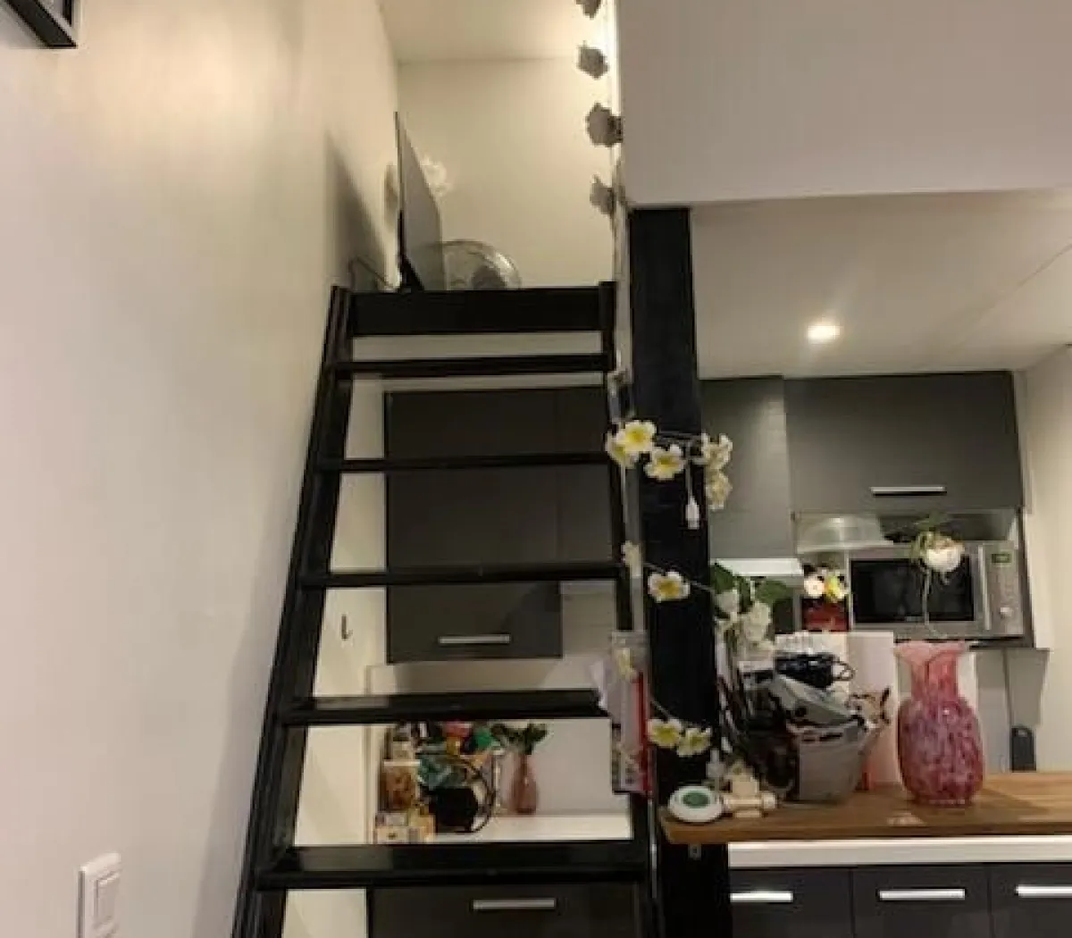 Location Paris Appartement 698918929517