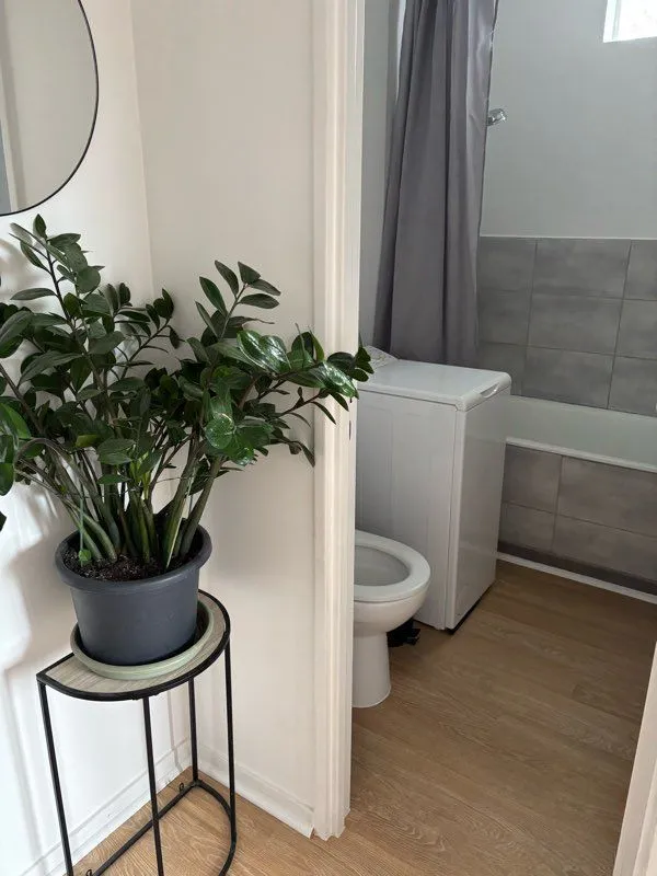 Location Vanves Appartement 698ac1ff4fdc