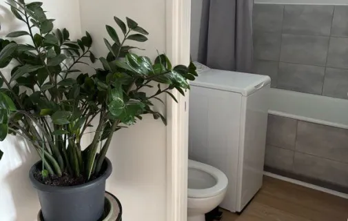 Location Vanves Appartement 698ac1ff4fdc