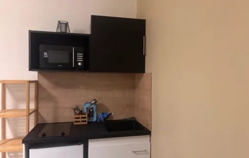 Location Lyon Appartement 698b1af2cf0d