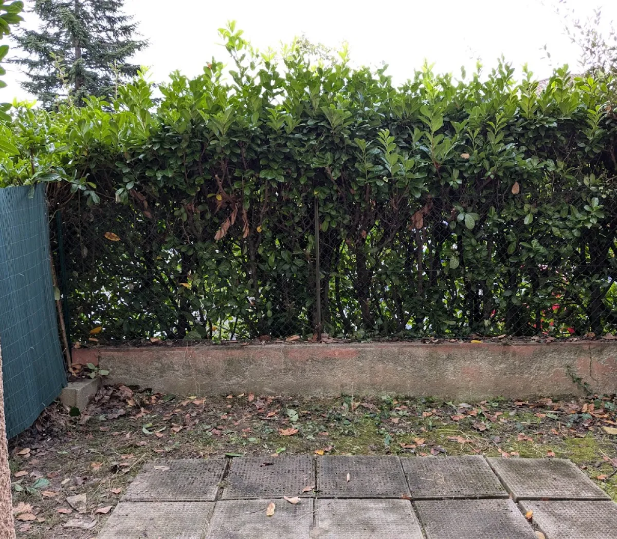 Location Toulouse Appartement 698b3c2ab831