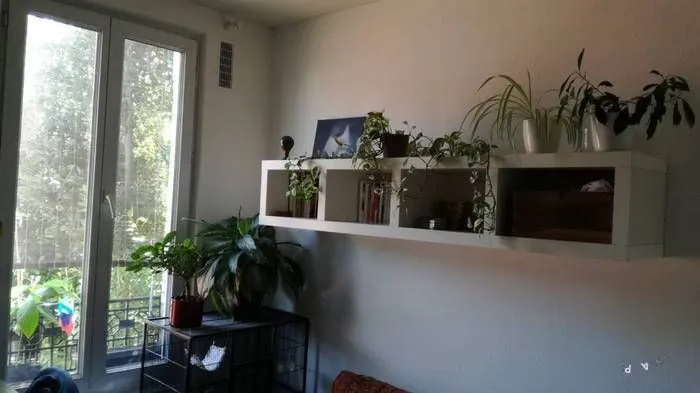 Location Maisons-Alfort Chambre 698c4ffc4753