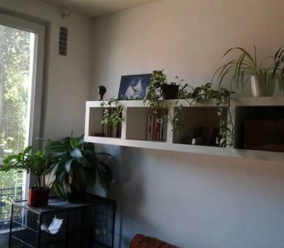 Location Maisons-Alfort Chambre 698c4ffc4753