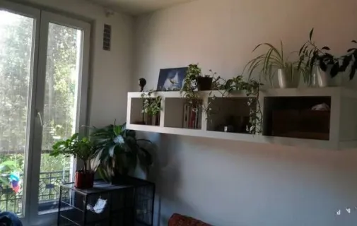 Location Maisons-Alfort Chambre 698c4ffc4753