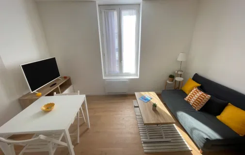 Location Lyon Appartement 698cc8f7b436