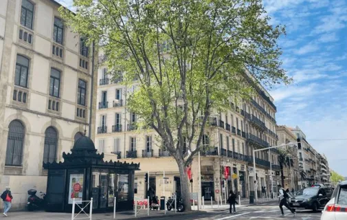 Location Toulon Appartement 698e5f3c1260