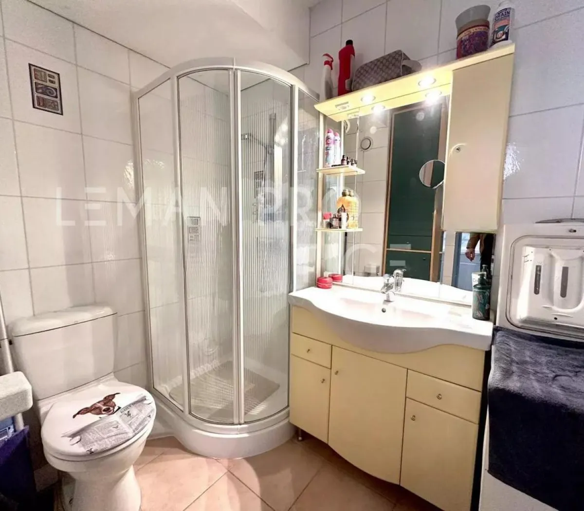 Location Gaillard Appartement 6992df8e36cb