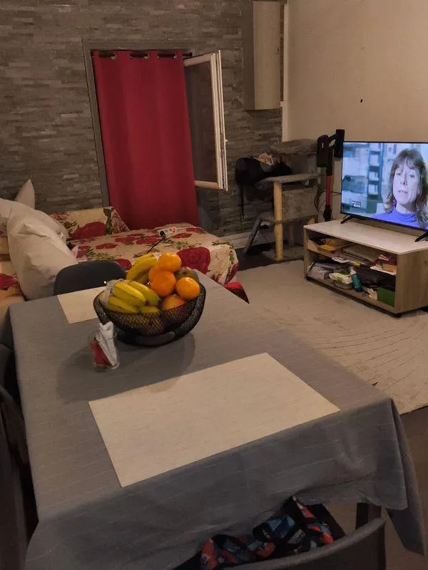 Location Nantes Appartement 6992ff139785