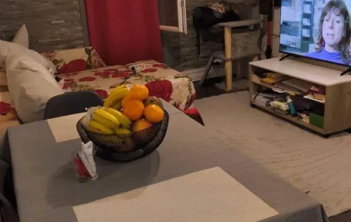 Location Nantes Appartement 6992ff139785