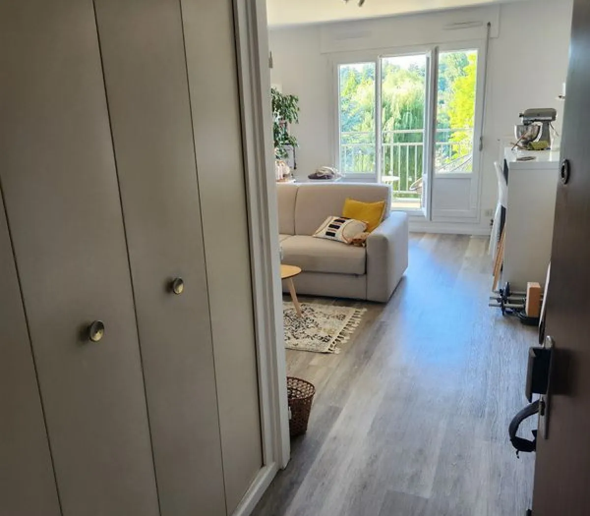 Location Sainte-Foy-lès-Lyon Appartement 6996050ea99f