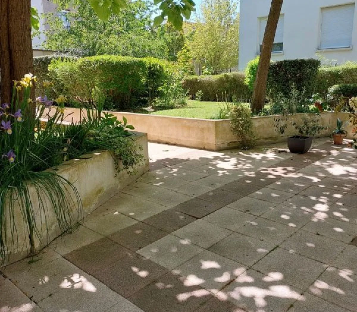 Location Vincennes Appartement 6996d390d437