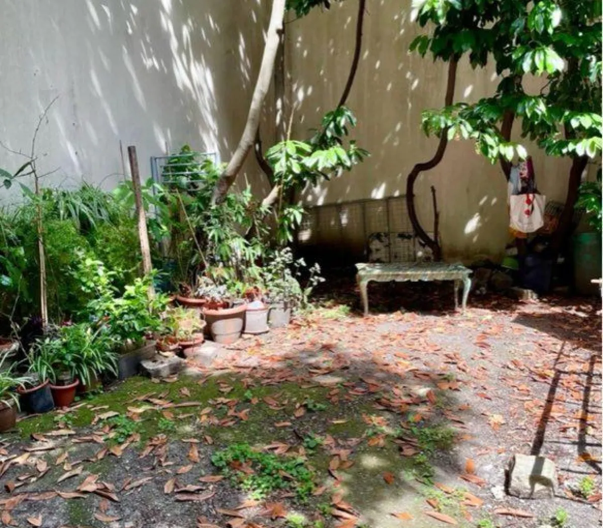 Location Saint-Denis Appartement 699772c0946b