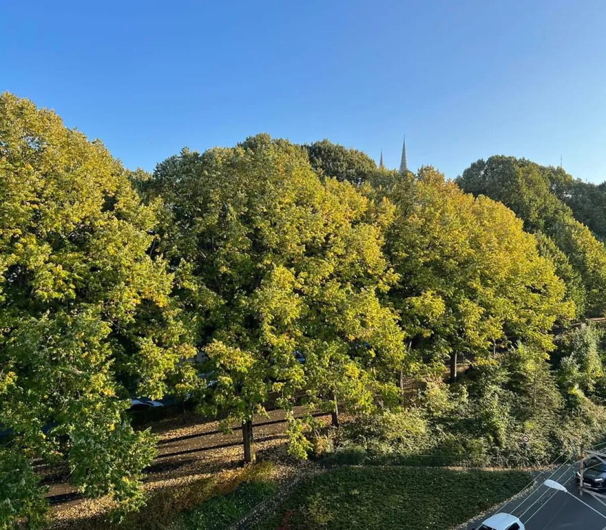 Location Chartres Appartement 6998249b9fc2