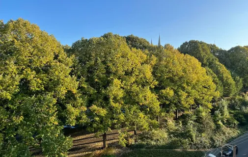 Location Chartres Appartement 6998249b9fc2