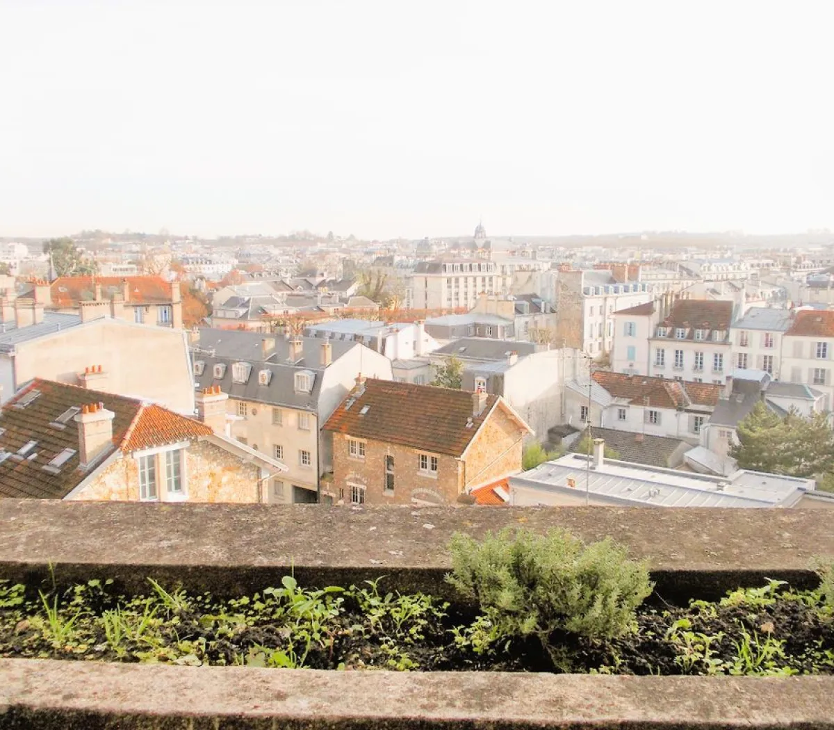 Location Versailles Appartement 699854796a3c