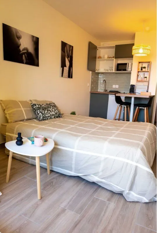 Location Lyon Appartement 6999b1f48861