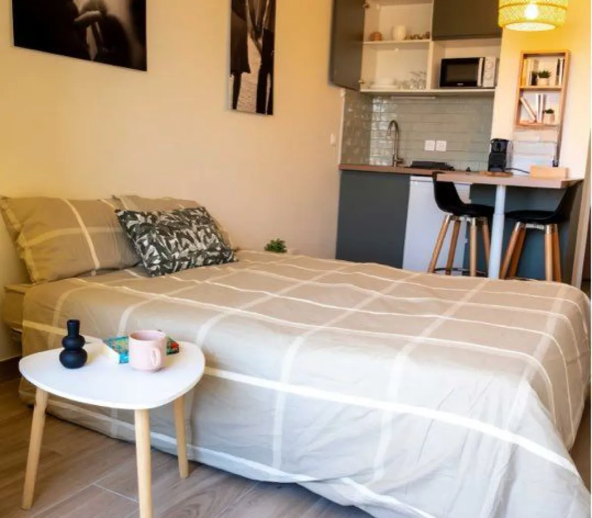 Location Lyon Appartement 6999b1f48861