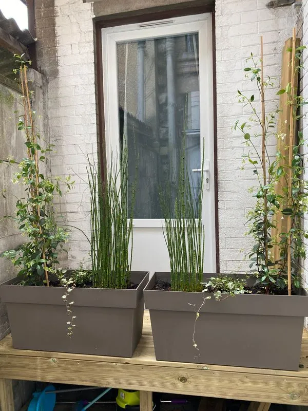 Location Saint-Maur-des-Fossés Appartement 699b5d3d0b8a