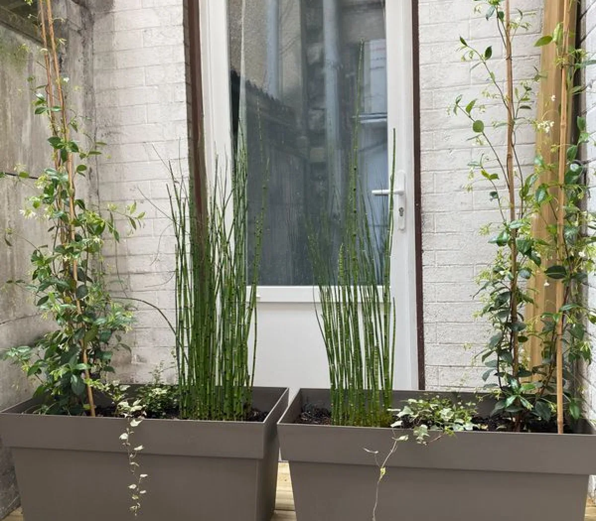 Location Saint-Maur-des-Fossés Appartement 699b5d3d0b8a