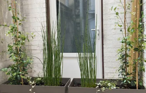 Location Saint-Maur-des-Fossés Appartement 699b5d3d0b8a