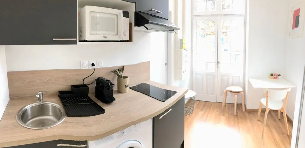 Location Villeurbanne Appartement 699cdf0be03e