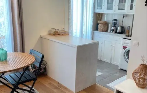 Location Paris Appartement 699ce1423747