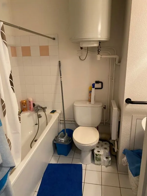 Location Lyon Appartement 699ce375766f