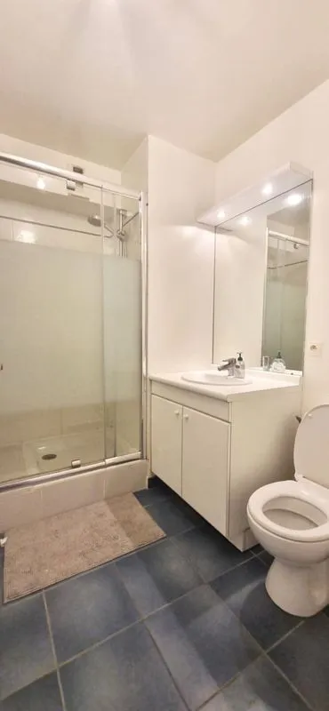 Location Paris Appartement 699ce53c7d11