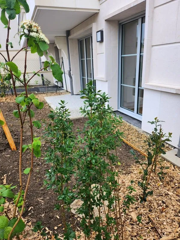 Location Clamart Appartement 699ce72c97c8