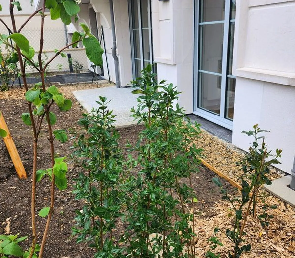 Location Clamart Appartement 699ce72c97c8