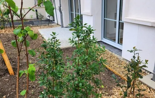 Location Clamart Appartement 699ce72c97c8