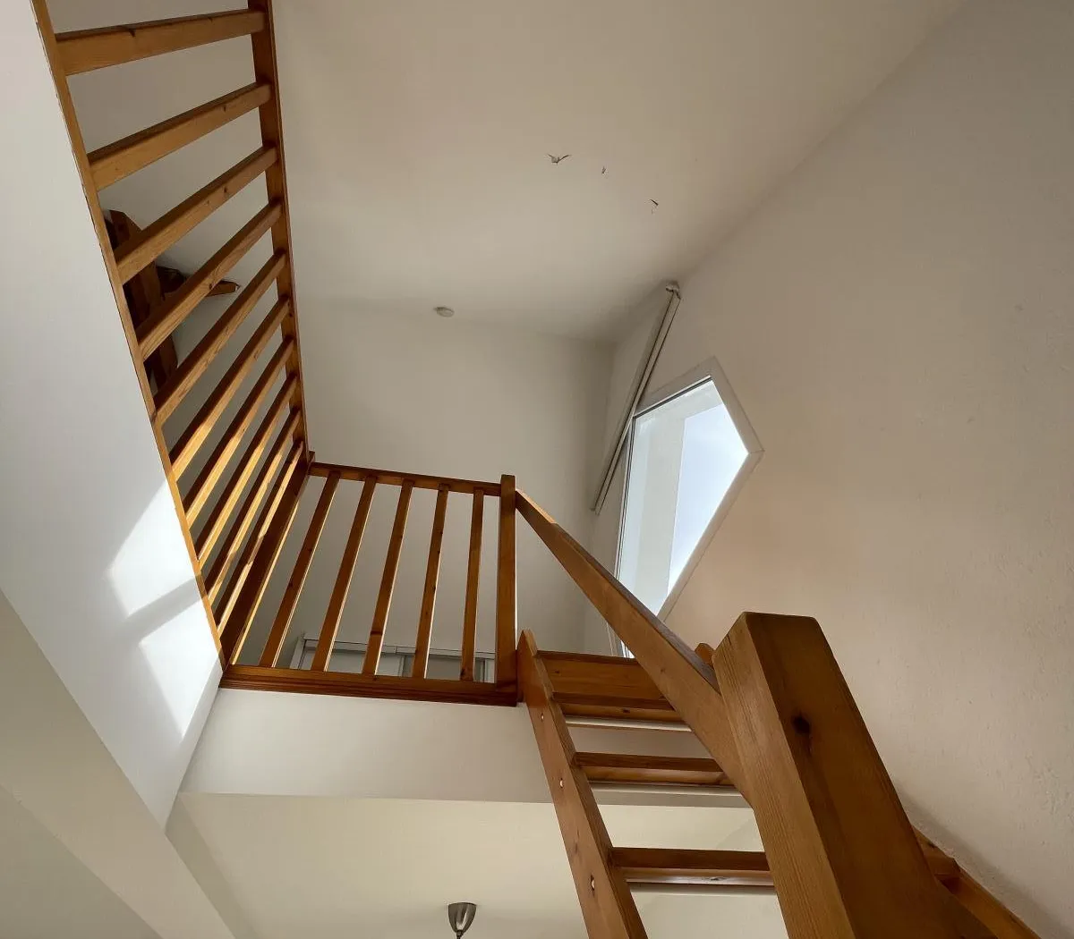 Location Nantes Appartement 699d6df29251