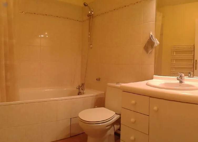 Location Issy-les-Moulineaux Appartement 699d86d1244e