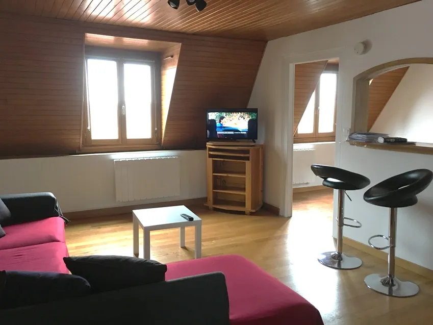 Location Montbéliard Appartement 699ee2187c74