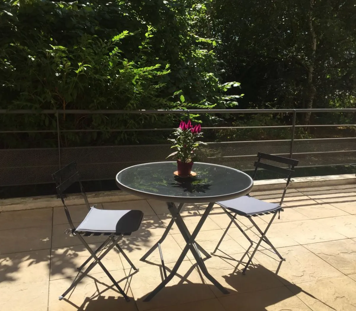 Location Nancy Appartement 699f604b923e