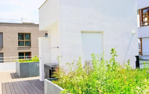 Location Saint-Denis Chambre 69a05d7026e2